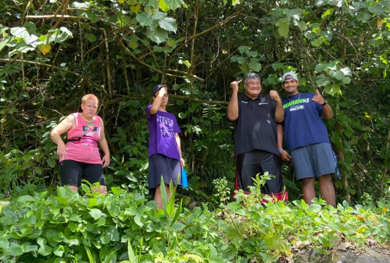 LDAH - American Samoa (9)